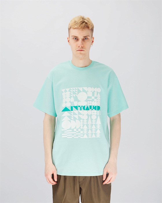 Оверсайз футболки Anteater - фото 5904