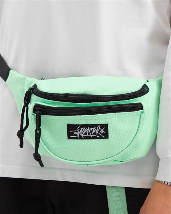 Сумка Anteater Waistbag 1848