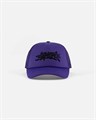 Кепка Anteater Trucker violet 1843