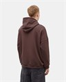 ТОЛСТОВКА ANTEATER HOODIE-Brown 2362