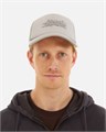 Кепка Anteater Trucker-Grey 2495