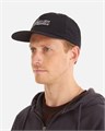 Кепка Anteater Snap Back 2498