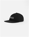 Кепка Anteater Snap Back 2498