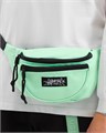 Сумка Anteater Waistbag 1848